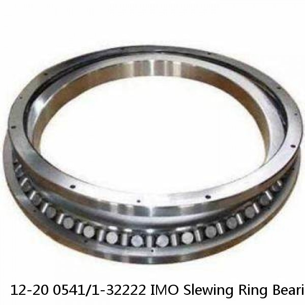 12-20 0541/1-32222 IMO Slewing Ring Bearings