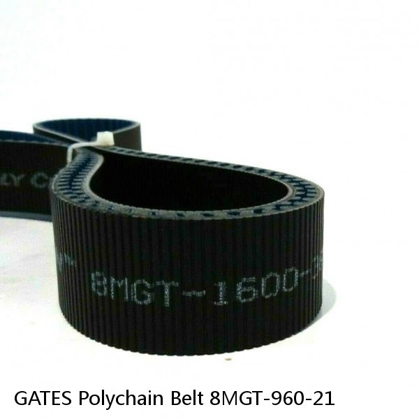 GATES Polychain Belt 8MGT-960-21 