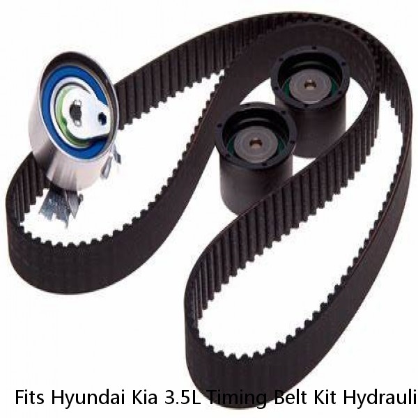 Fits Hyundai Kia 3.5L Timing Belt Kit Hydraulic Tensioner Water Pump Valve Cover